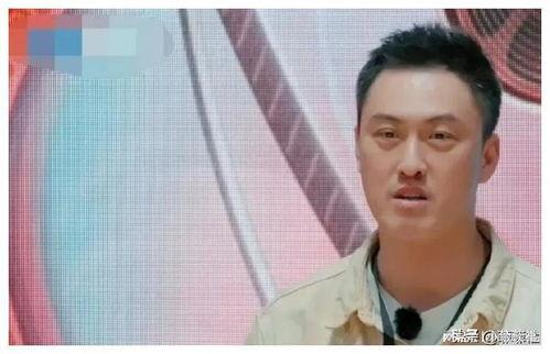 娱乐圈吃瓜爆料道歉,道歉潮来袭，真相与反思并行